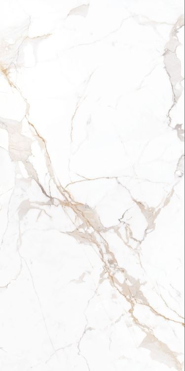Calacatta Golden-dawb thiab kub Marble
